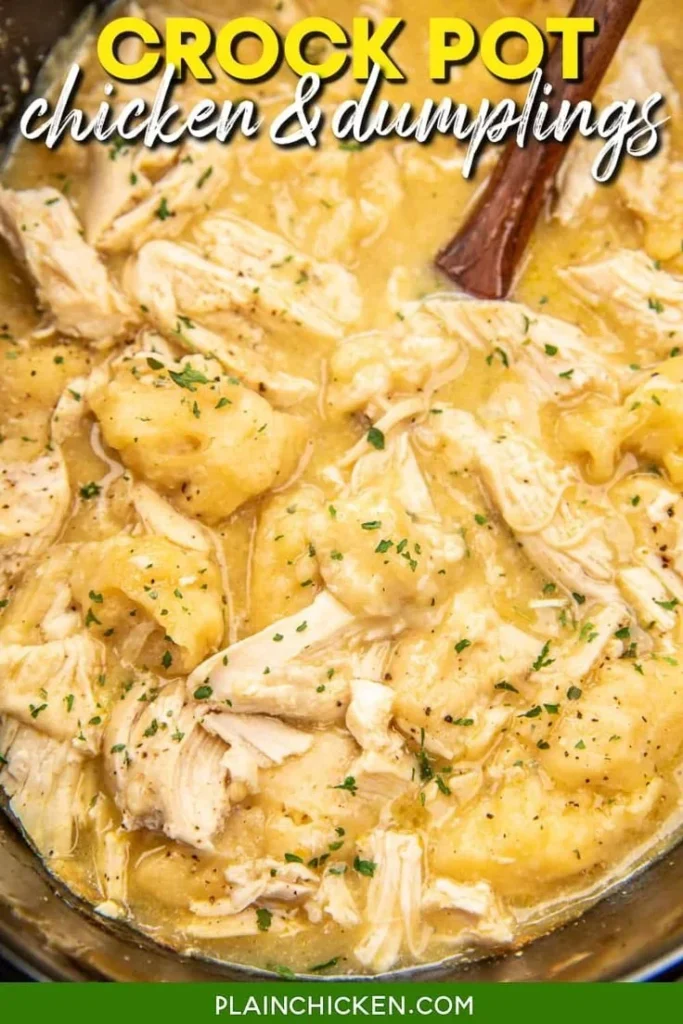 Delicious Crock Pot Chicken and Dumplings in a cozy bowl