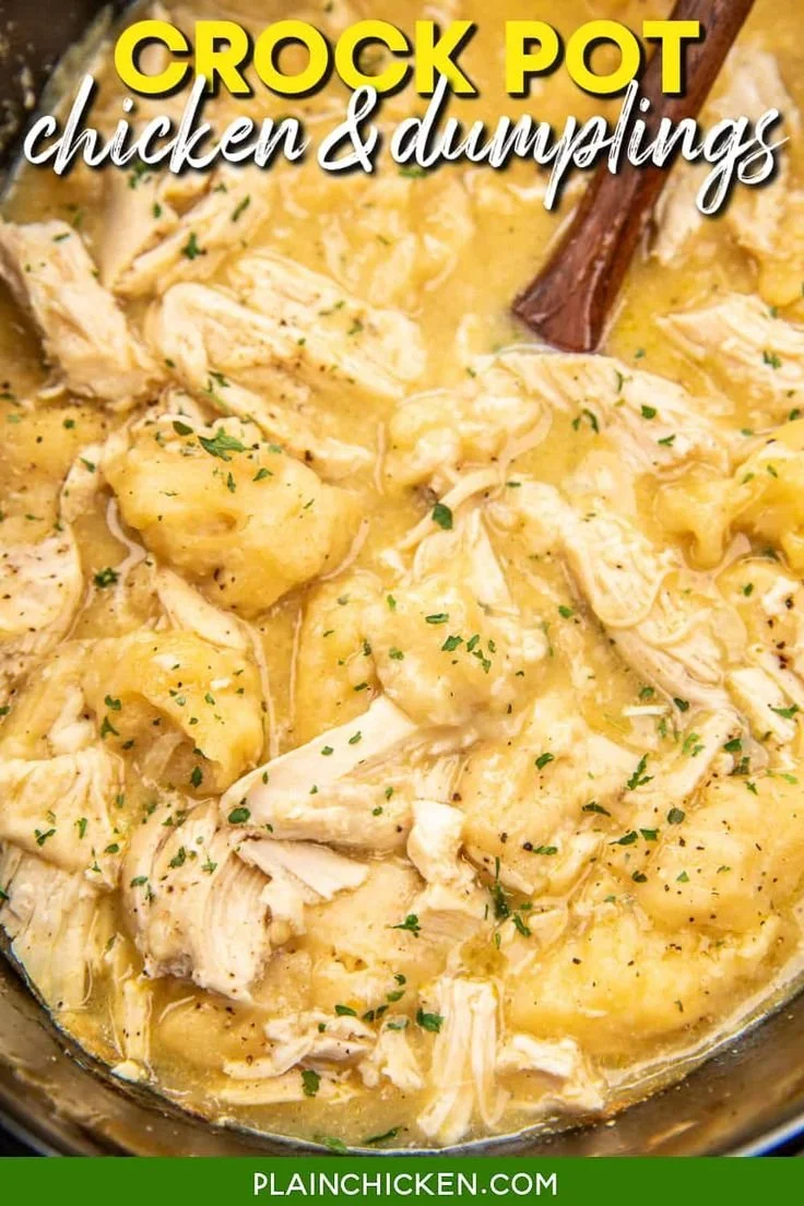 Delicious Crock Pot Chicken and Dumplings in a cozy bowl